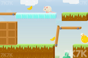 《胆小鼠吃奶酪》游戏画面8
