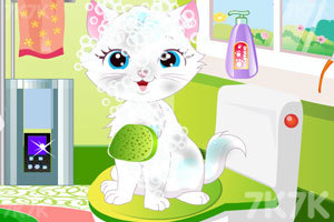 《新猫咪洗澡游戏》游戏画面2