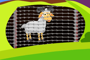 《营救绵羊》游戏画面1
