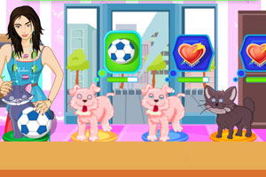 《宠物店》游戏画面1