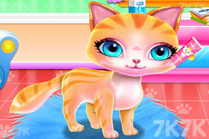 《我可爱的小猫》游戏画面3