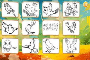 《鸟类图画册》游戏画面1