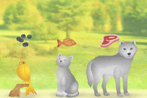 《动物饲养员》游戏画面1