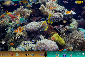 《海底世界找动物》游戏画面1