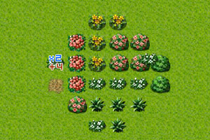 《花园种植》游戏画面1