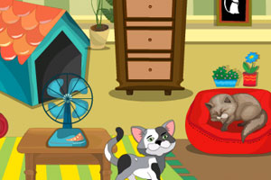 《布置猫咪乐园》游戏画面1