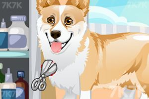 《可爱小狗护理》游戏画面3