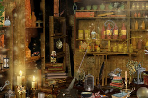 《魔法师之家》游戏画面1