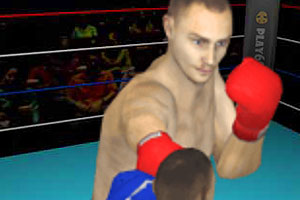《3D拳王》游戏画面1