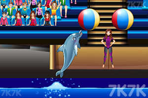 《魅力海豚展5》游戏画面3
