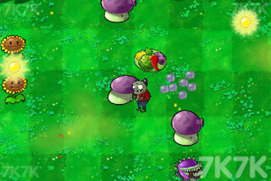 《植物大战僵尸羊年版》游戏画面4