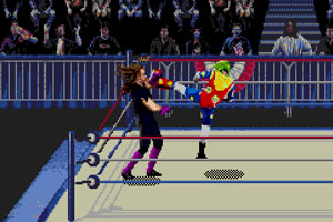 《WWF疯狂摔角》游戏画面1