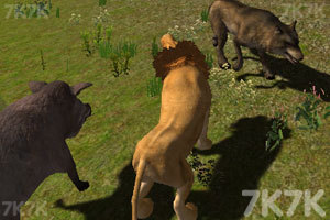 《模拟动物人生3》游戏画面4