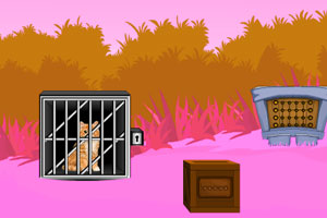 《救出被困笼子的猫》游戏画面1