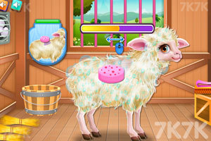 《照顾小羊宝宝》游戏画面3