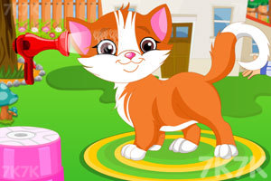 《玛莎的宠物猫装扮》游戏画面3