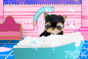 《宠物洗澡》游戏画面3