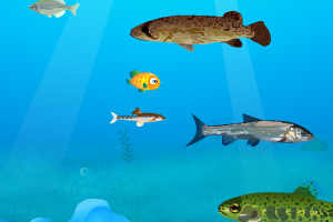《金鱼吃小鱼》游戏画面1