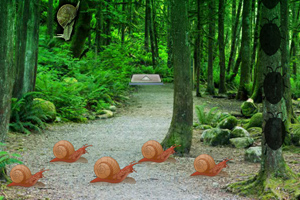 蜗牛的森林逃脱