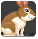 复活节兔子逃脱2