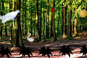 《白鸽森林逃脱》游戏画面1