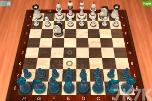 《国际象棋对弈》游戏画面1