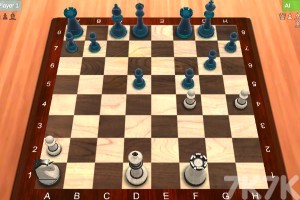《国际象棋对弈》游戏画面4