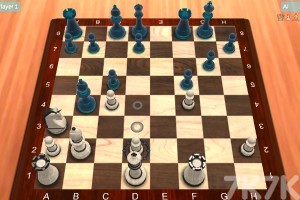 《国际象棋对弈》游戏画面3