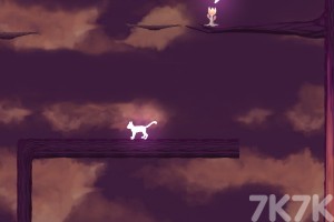 《森林猫》游戏画面4