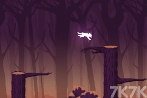 《森林猫》游戏画面3
