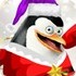 马达加斯加的企鹅过圣诞