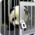 帮助熊猫逃出笼子
